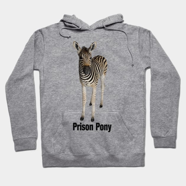 Zebra is a Prison Pony Hoodie by Lucia